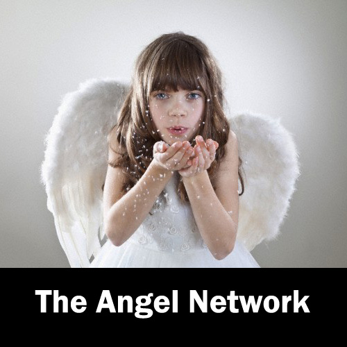 Vitis the ANGEL NETWORK